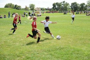 “十三五”期间渭南市县域经济发展特色彰显稳健发展