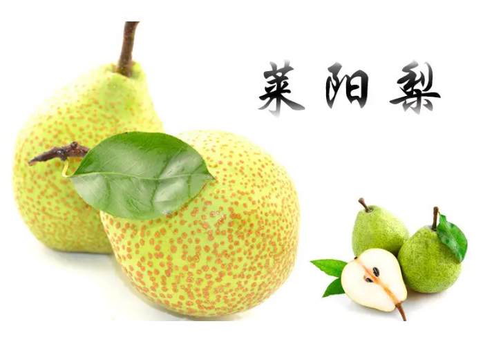 莱阳梨