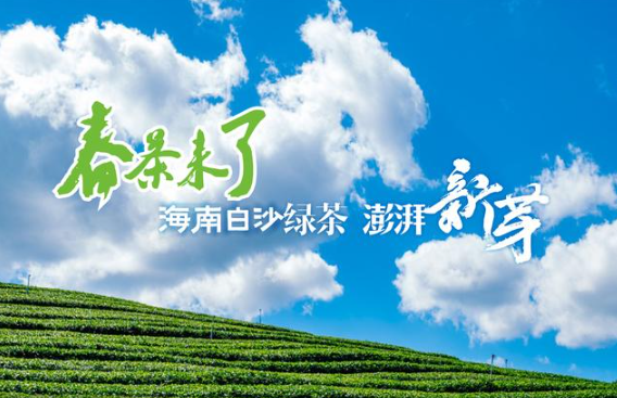 白沙绿茶