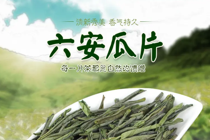 六安瓜片